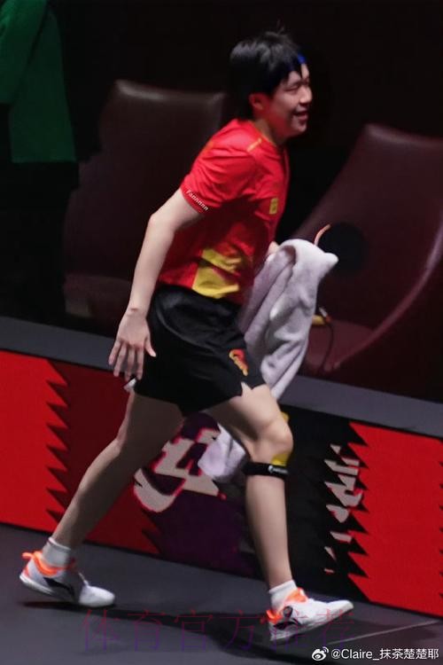 含金量！林昀儒夺冠引热议，王楚钦队友，陪樊振东看霉霉演唱会