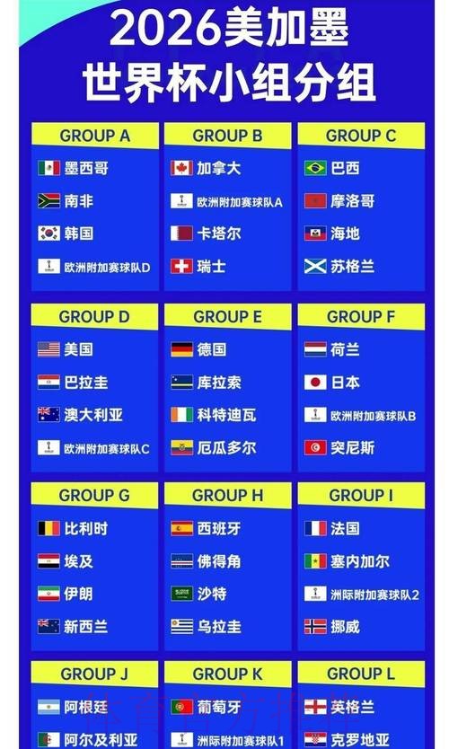 满冠体育